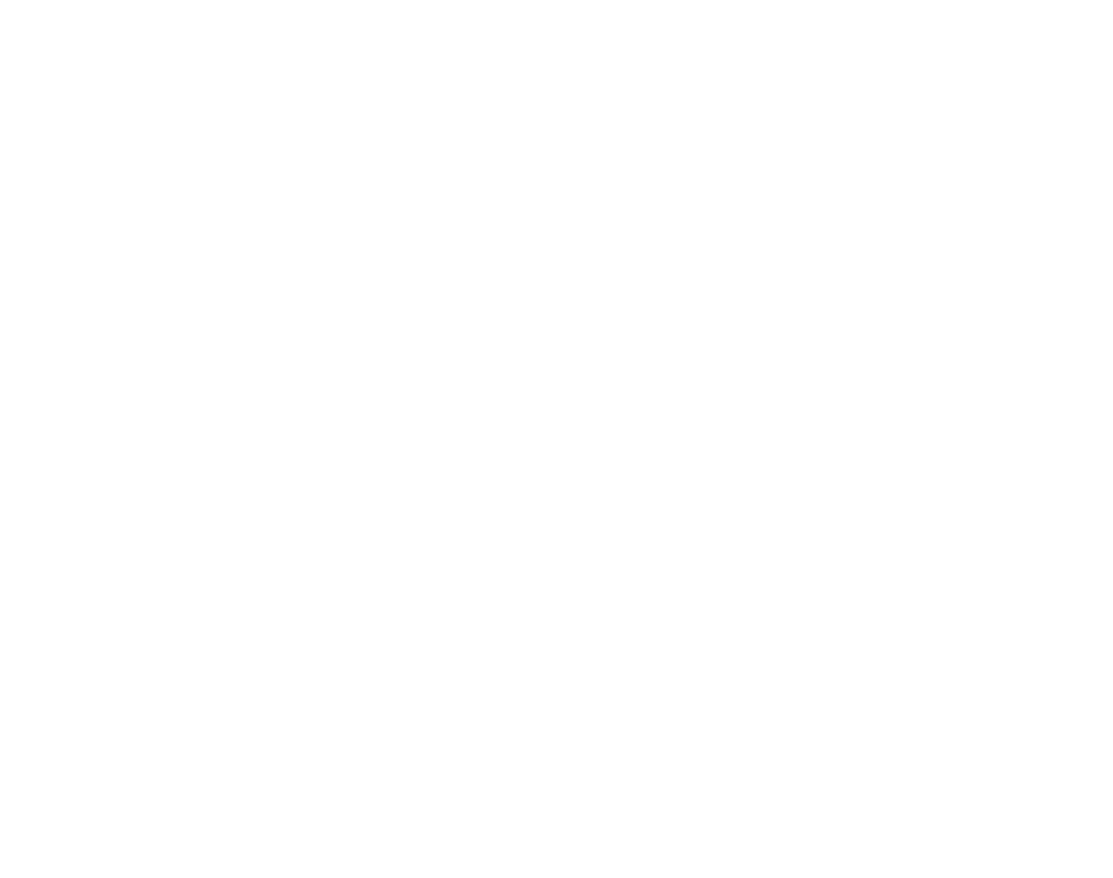 Boston Chimney Sweep